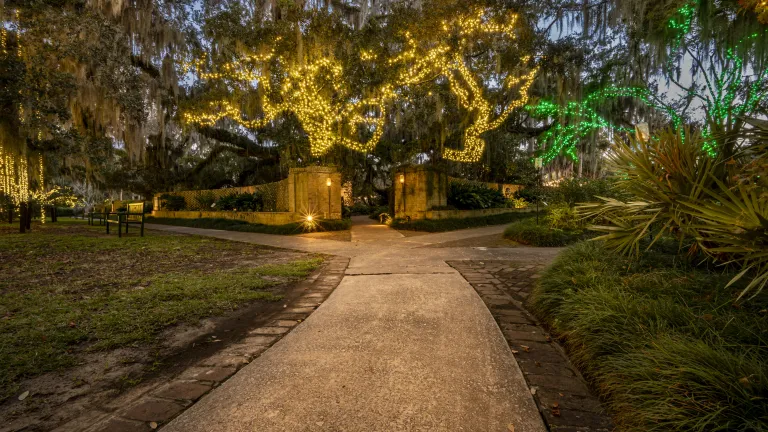 Nights of a Thousand Candles 2024