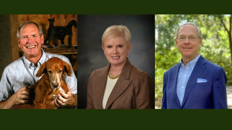 New Board of Trustee members