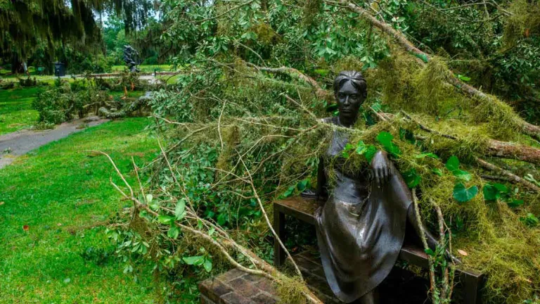 Storm damage