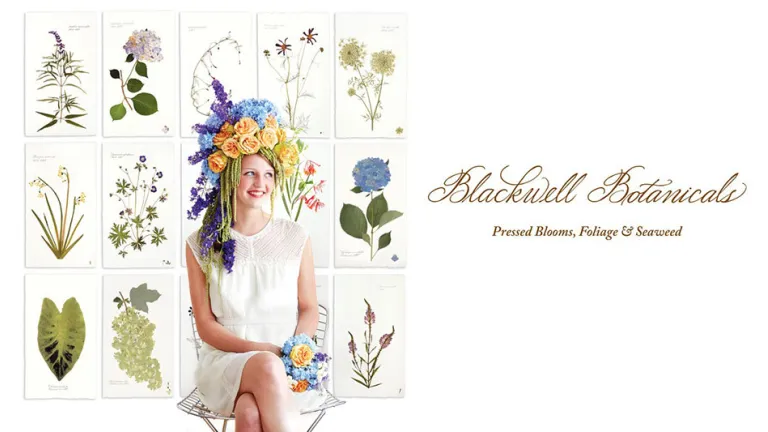 Anne Blackwell Thompson collage